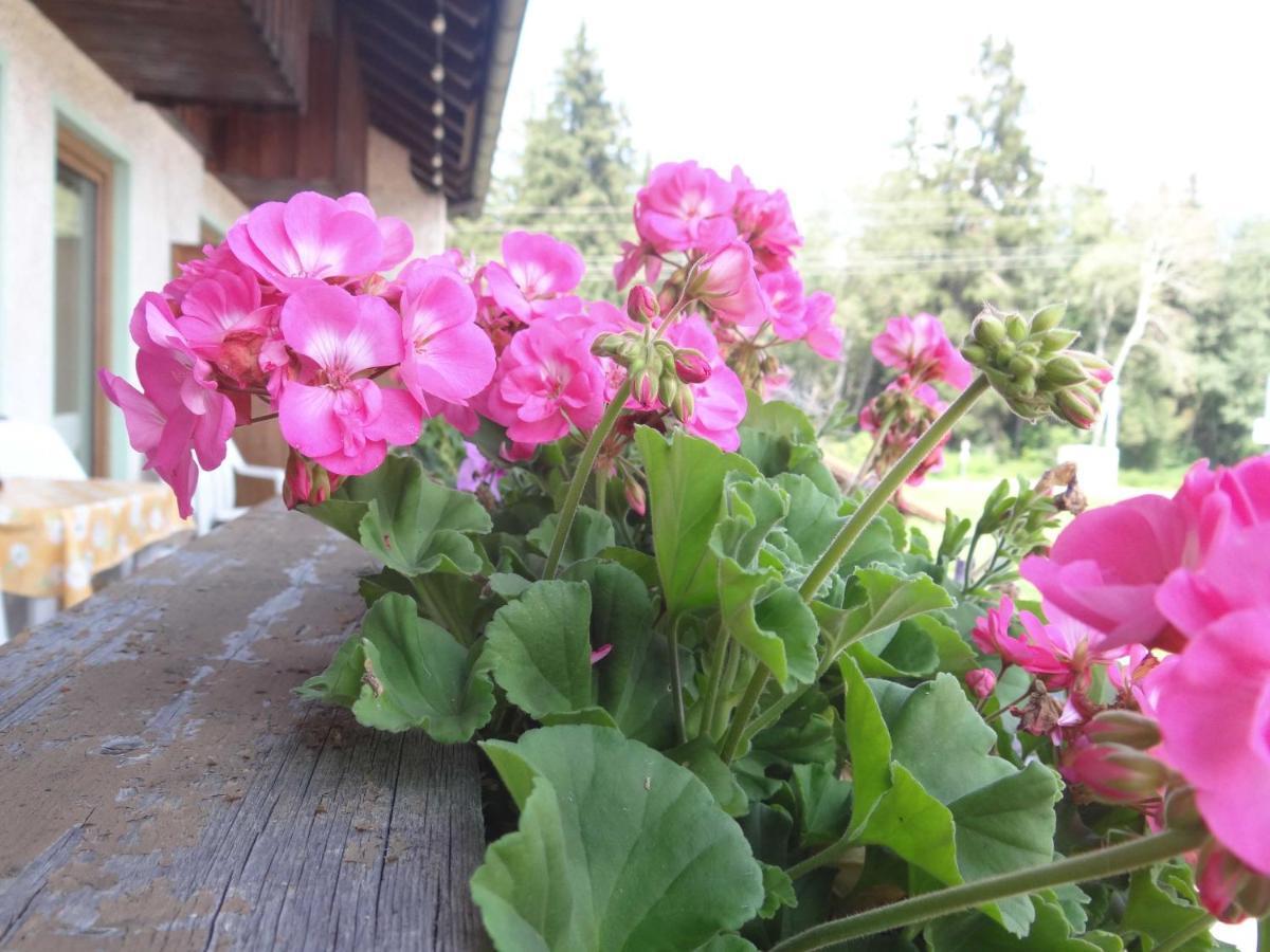 Beim Haxenwirt Hotel Immenstadt im Allgäu Quarto foto